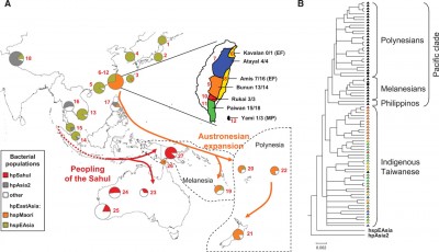 Migrations of Helicobacter and Man to Australia